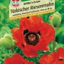 Sperli Türkischer Riesenmohn: Samen für feuerrote Mohnblumen im Garten.