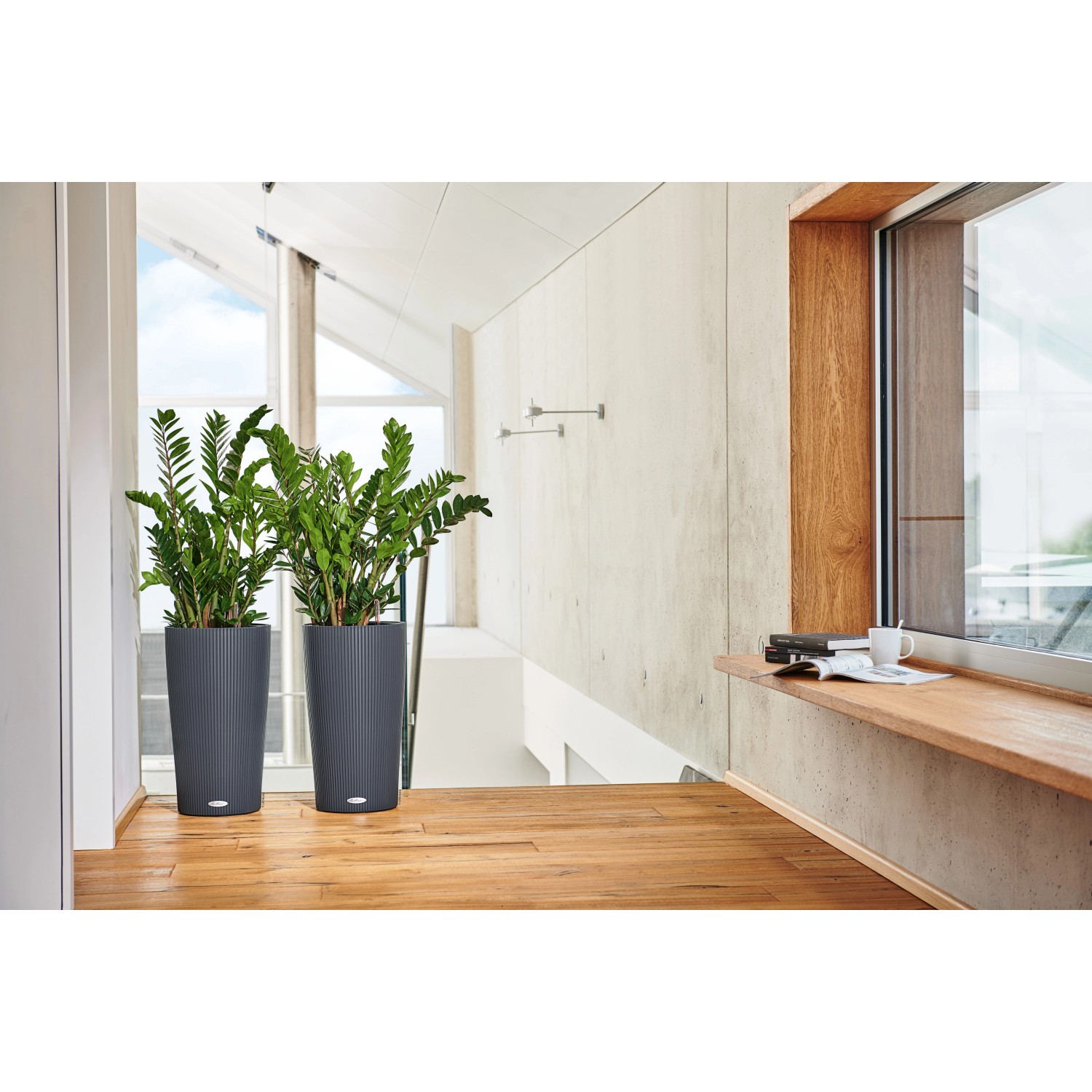 Zwei schiefergraue Lechuza Cilindro Color Pflanzgefäße mit Pflanzen im modernen Interieur.