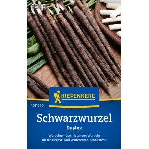 Kiepenkerl Schwarzwurzel Duplex: Lange, dunkle Wurzeln, erntefrisch für den Winter.