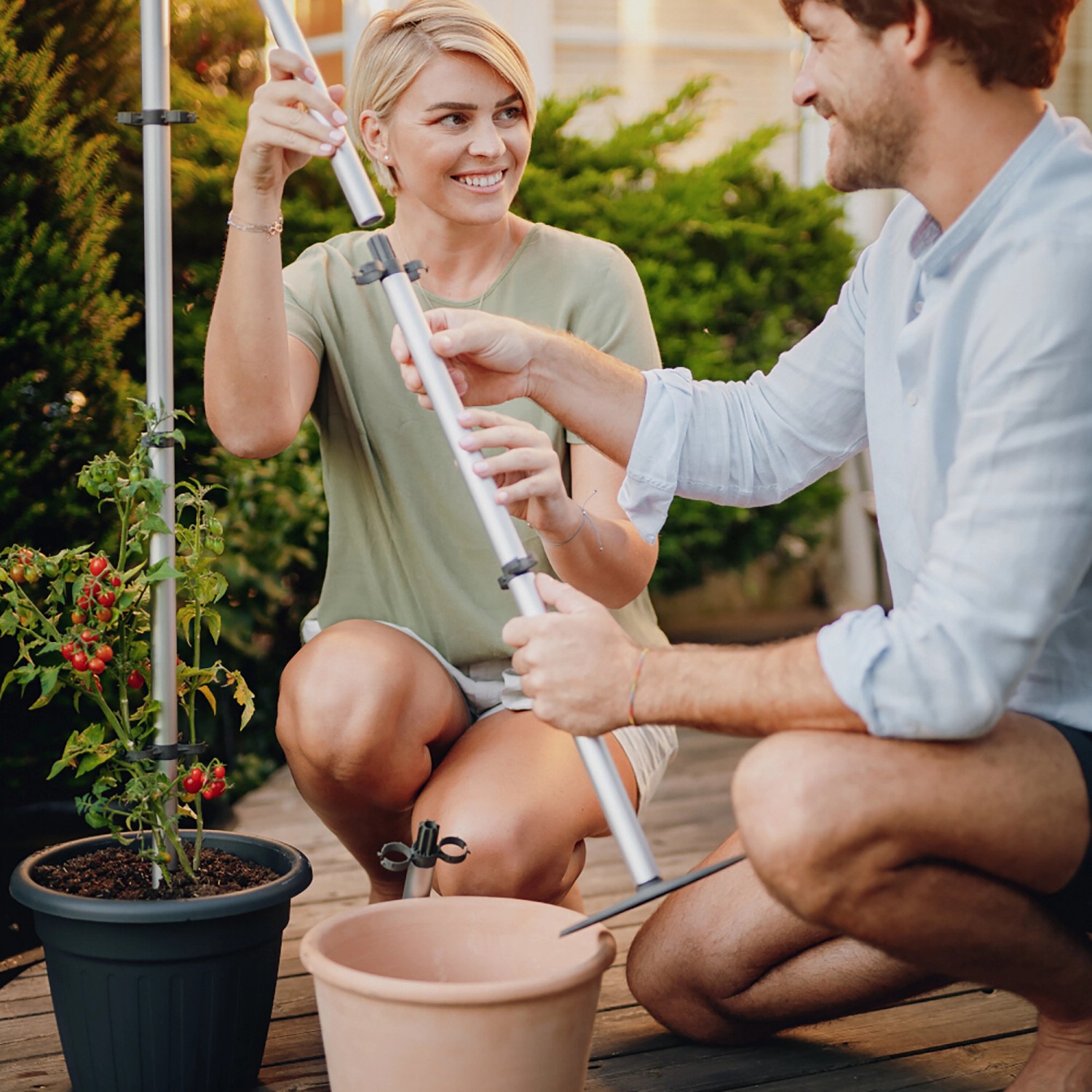 Aufbau der Gusta Garden Tomatenrankhilfe Tomato Buddy im Pflanzkübel. Silberne Rankhilfe mit Tomatenpflanze.