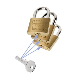 Burg Wächter Vorhangschloss-Set Trio 405 40 SB mit drei Messingschlössern und einem Schlüssel.