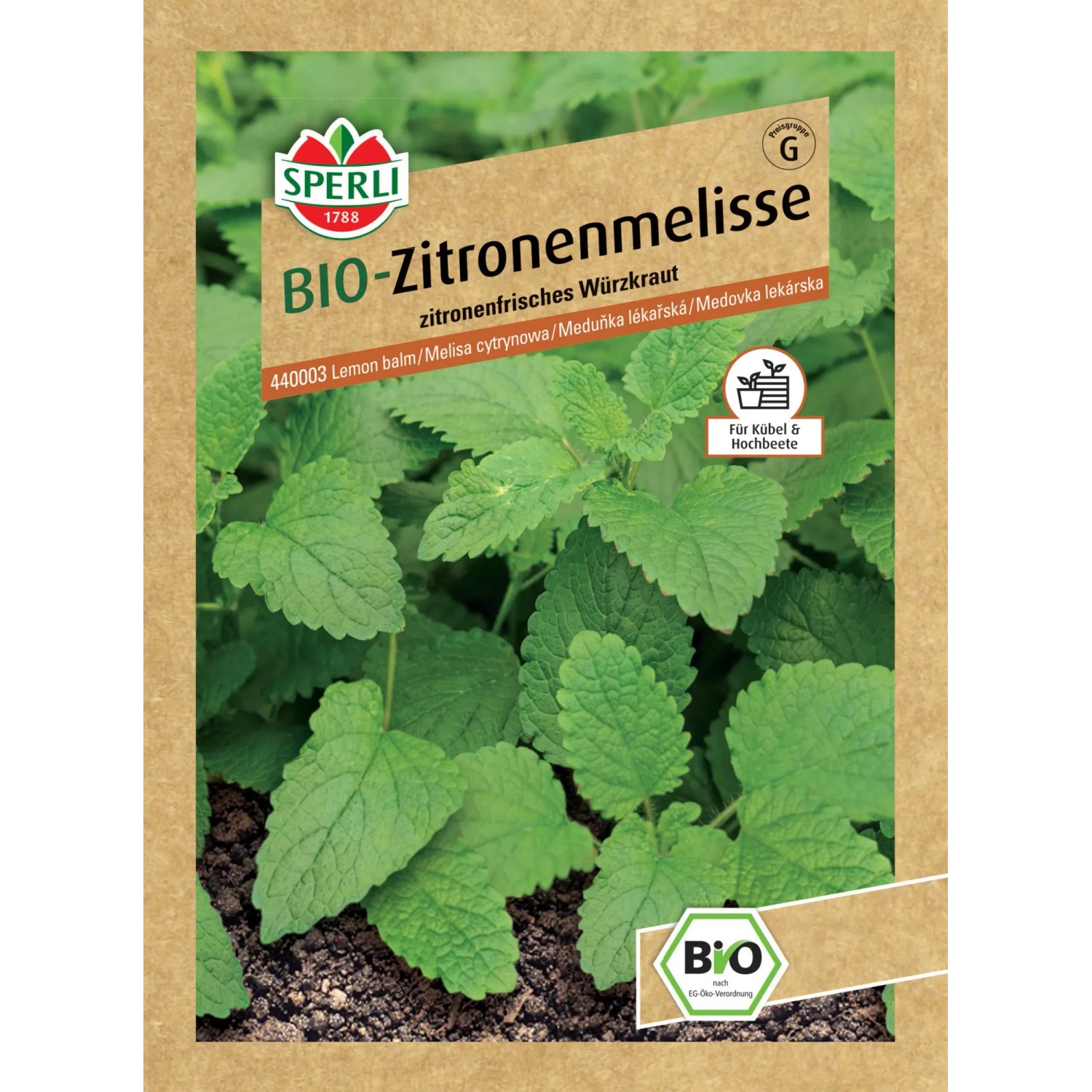 Sperli Bio Zitronenmelisse Samenpackung mit grünen Blättern. Kräutersamen für Garten und Kübel.