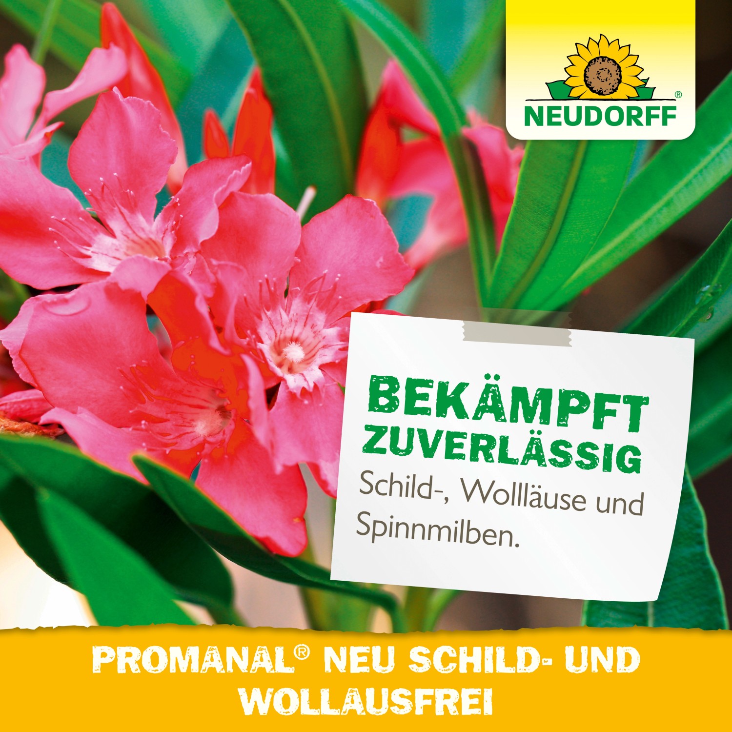 Neudorff Promanal Neu Schild- und Wolllausfrei mit rosa Blüten, zur Bekämpfung von Schädlingen.