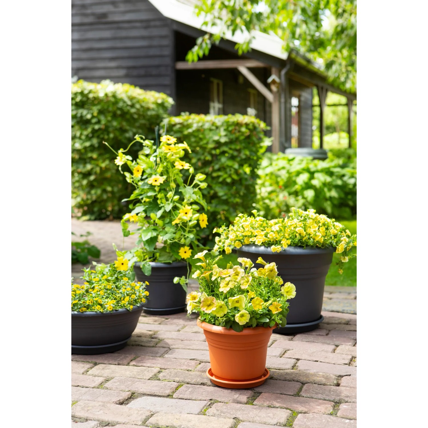 wasserreservoir blumenkästen 1 Blumenkasten / Balkonkasten mit Wasserspeicher ca. 60 cm aus grauem – La  Casa main image 0