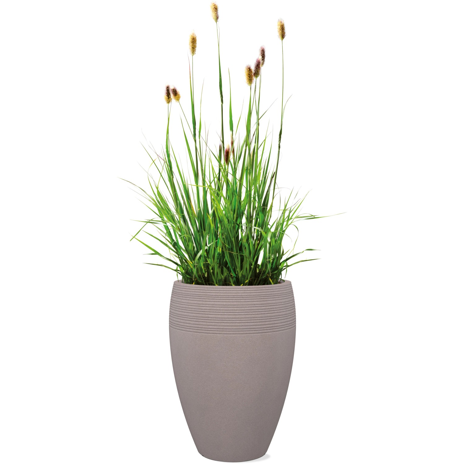 Scheurich Pflanzkübel ‚Country Star‘ – Terrakotta, 49 X 19 X 15 Cm, Für Garten & Balkon