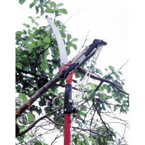 LUX Baumschere teleskopierbar mit Säge in Anwendung an einem Ast.