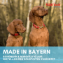 Zwei rotbraune Hunde mit roten Halsbändern im Freien. Supravit Nassfutter mit Pferd für Hunde, Qualität aus Bayern.
