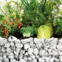 Rundes Bellissa Gabionen-Hochbeet (Ø 146 cm) mit Bepflanzung.