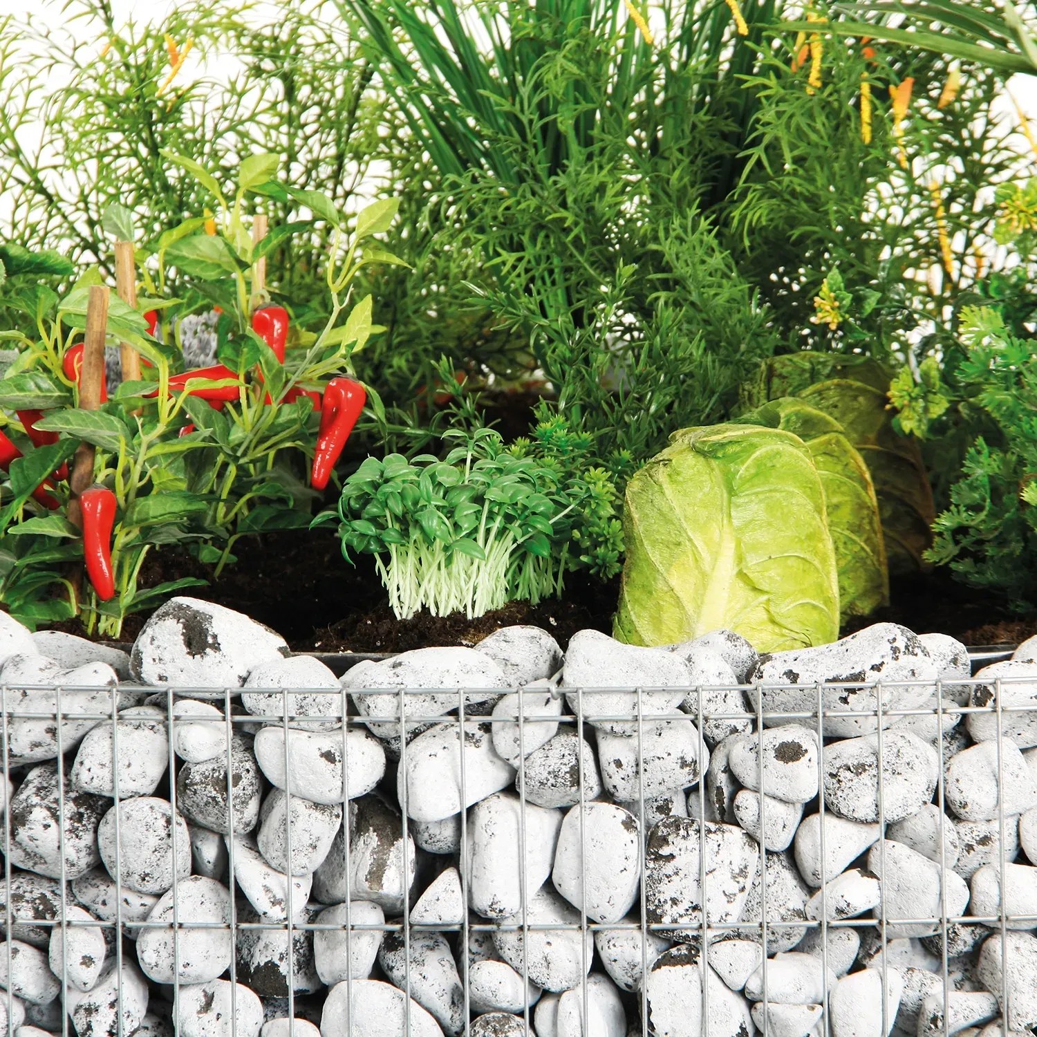 Rundes Bellissa Gabionen-Hochbeet (Ø 146 cm) mit Bepflanzung.
