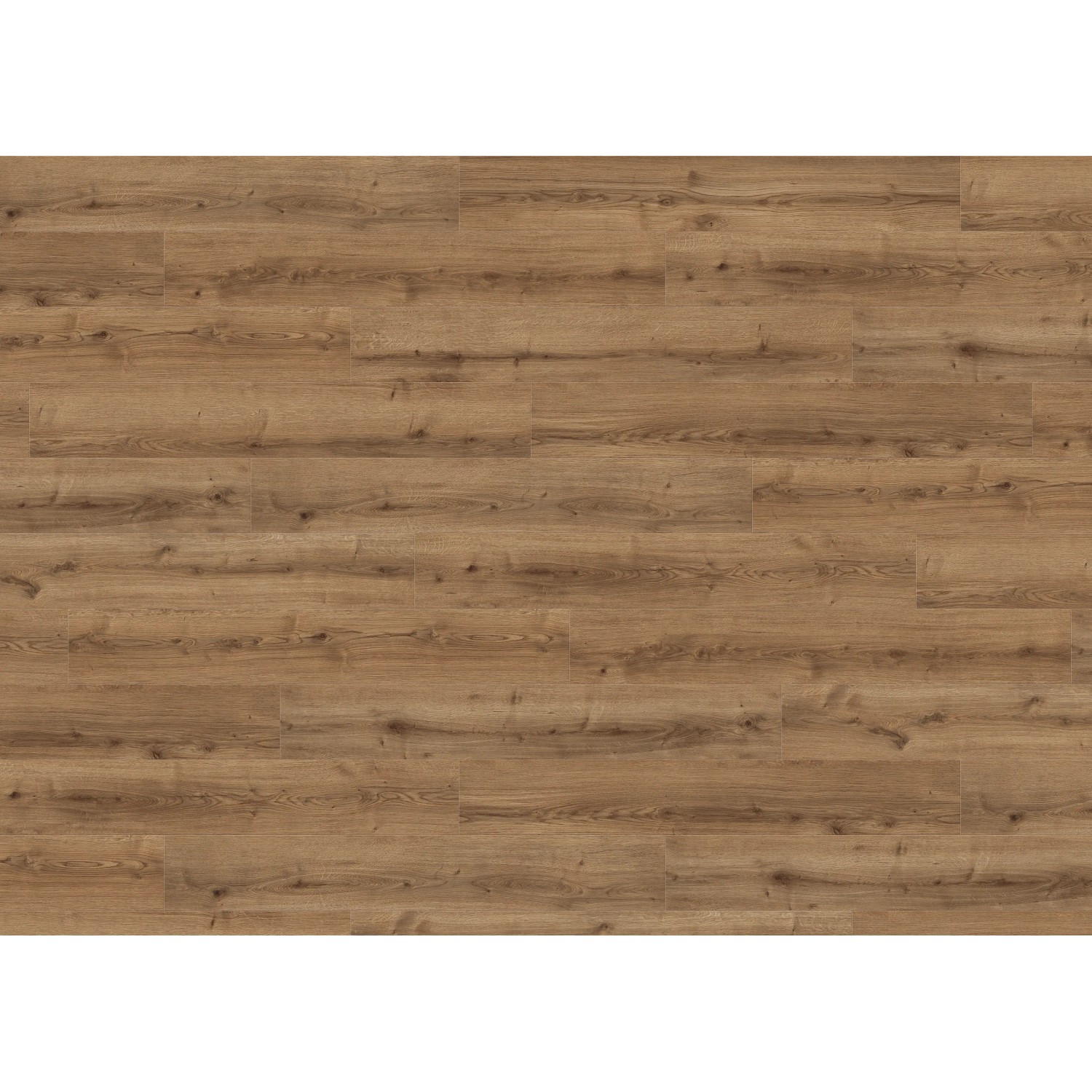 Living by HARO Designboden Eiche Salerno Natur, Landhausdiele mit 4V-Fuge.