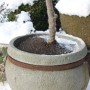 Videx Garden Kokosscheibe, Ø 25cm, dunkelbraun, schützt Topfpflanze im Winter vor Frost.