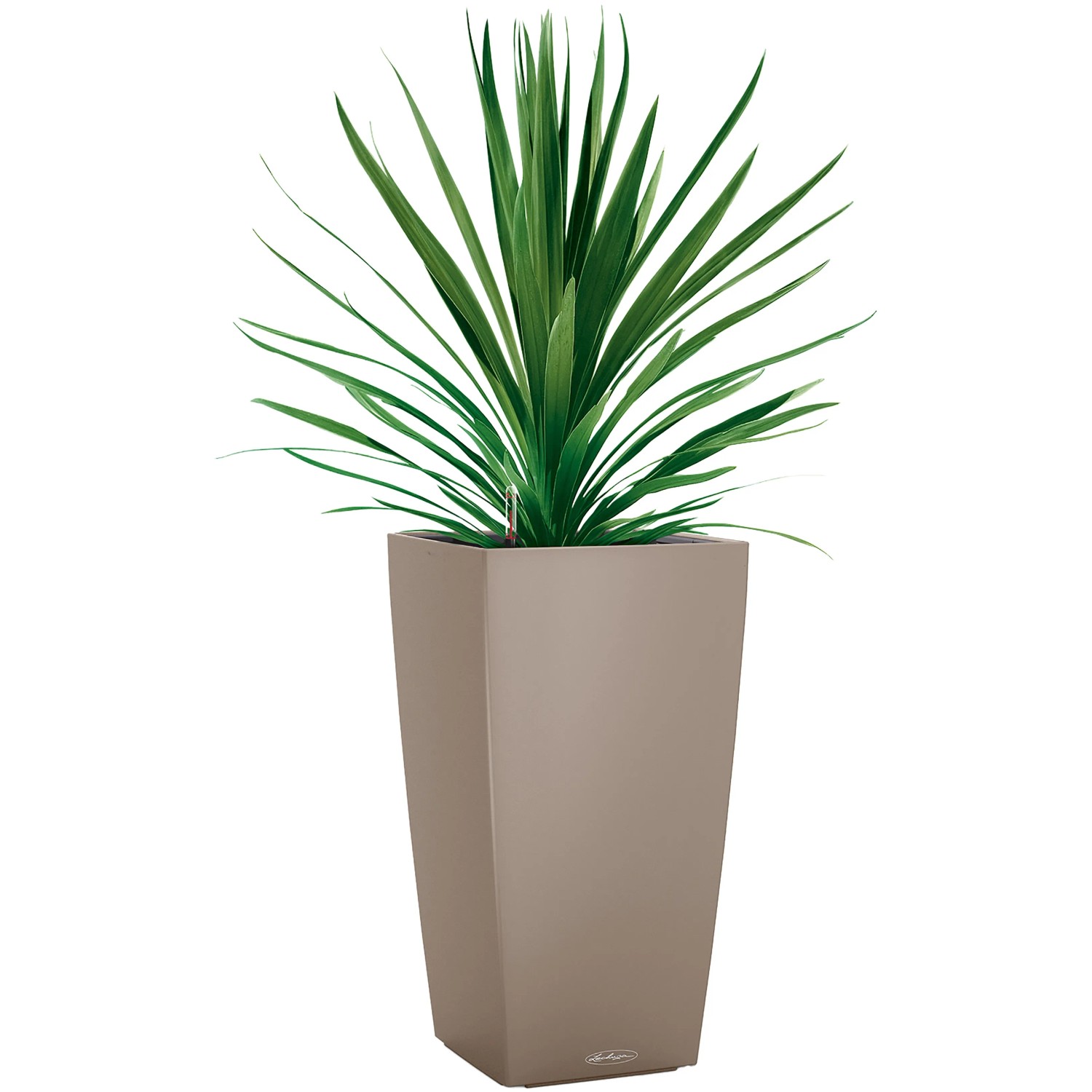 Lechuza Cubico Color Pflanzgefäß, 41cm hoch, sandbraun, mit grüner Pflanze.