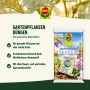 Compo Blaukorn NovaTec® Dünger, 3 kg Packung für Gartenpflanzen. Universaldünger mit wichtigen Nährstoffen.