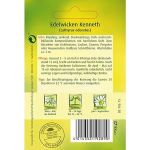 Samentüte Quedlinburger Wucherblume 'Frohe Mischung', einjährige Sommerblume für Beet und Rabatte.