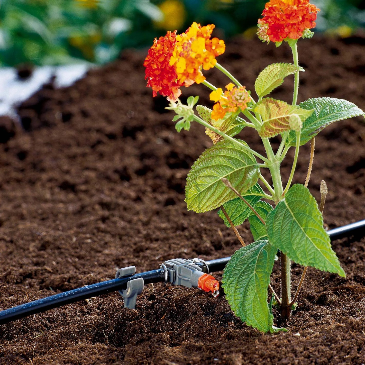 blumenständer draußen Pflanzenregal Metall schwarz mit 6/7/8 Ebenen online kaufen