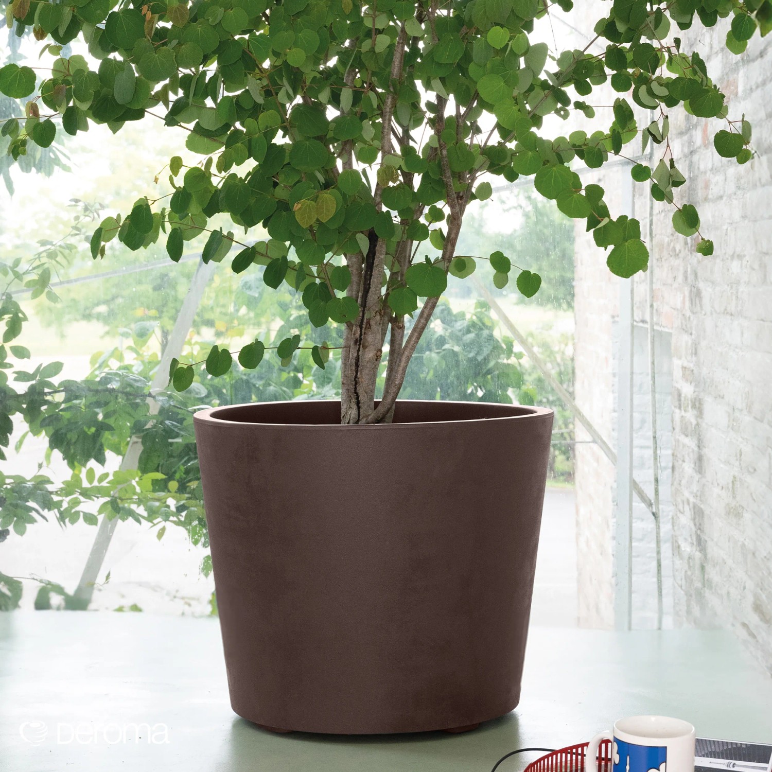 Deroma Pflanztopf Millennium mit Rollen  59 cm Brown kaufen bei OBI