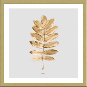 Pro Art Bild Framed Art Golden Leaf II 30 cm x 30 cm