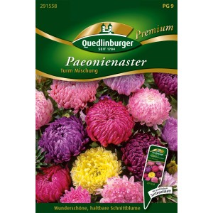 Samenpackung Quedlinburger Paeonienastern Turm Mischung mit bunten Blüten.