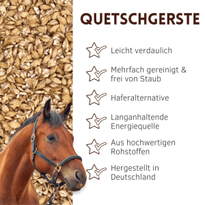Braunes Pferd neben gequetschtem Supravit Hafer Walzhafer Kraftfutter. Energiereiches, leicht verdauliches Pferdefutter.
