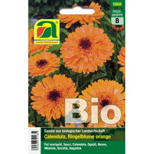 Bio-Saatgut: Ringelblume Orange (Calendula officinalis) mit leuchtend orangen Blüten.