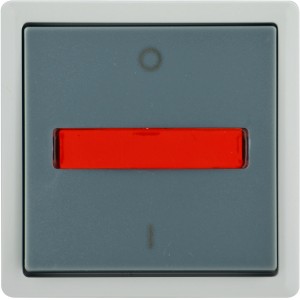 Feuchtraum-Ausschalter Vario21, 1-fach, hellgrau-grau, 2-polig, IP44.