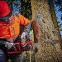 Einhell Akku-Kettensäge GP-LC 36/35 Li-Solo beim Sägen eines Baumstamms im Wald.