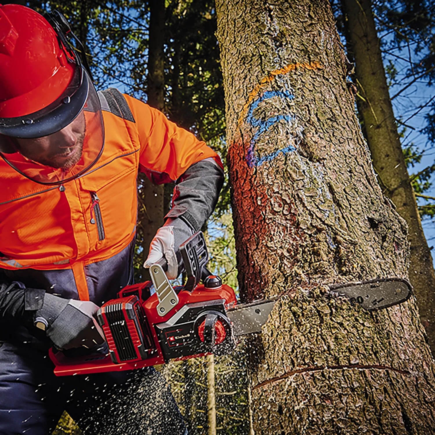 Einhell Akku-Kettensäge GP-LC 36/35 Li-Solo beim Sägen eines Baumstamms im Wald.