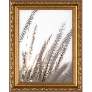 Goldener Barock Bilderrahmen aus Holz, 18x24 cm, für Fotos und Bilder.