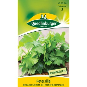 Quedlinburger Petersilie 'Einfache Schnitt 3', aromatisches Kraut für den Garten.