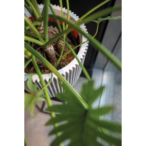 Eleganter, elfenbeinfarbener Capi Übertopf Kugel Groove (43x41cm) mit Pflanze. Ideal für Indoor & Outdoor.