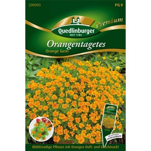 Samenpackung Quedlinburger Orangen-Tagetes Orange Gem, orange Blüten. Blumensamen für Beet und Topf.