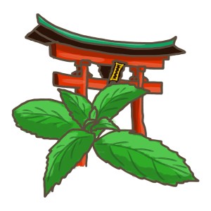 Illustration: Japanische Heilminze vor rotem Torbogen. Küchenkräuter für Tee und mehr.