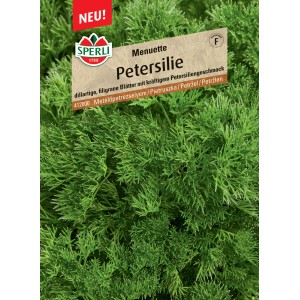 Sperli Petersilie Menuette: Dillartige, grüne Blätter mit kräftigem Aroma. Kräutersamen für Garten und Balkon.