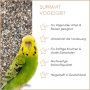 Grüner Wellensittich neben Supravit Vogelgrit, einem Ergänzungsfutter für Vögel zur Verdauung und für starke Knochen.