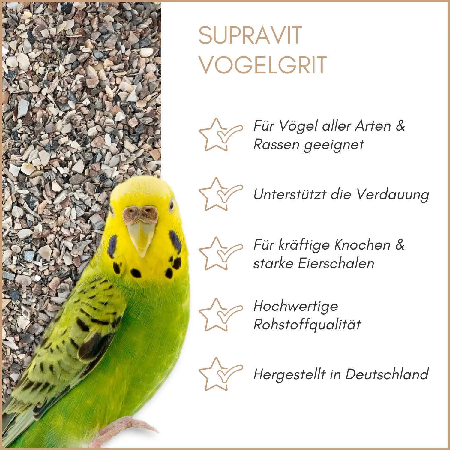 Grüner Wellensittich neben Supravit Vogelgrit, einem Ergänzungsfutter für Vögel zur Verdauung und für starke Knochen.