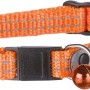 Orangefarbenes Jollypaw Katzenhalsband mit Adresslasche, reflektierend und mit Glöckchen.