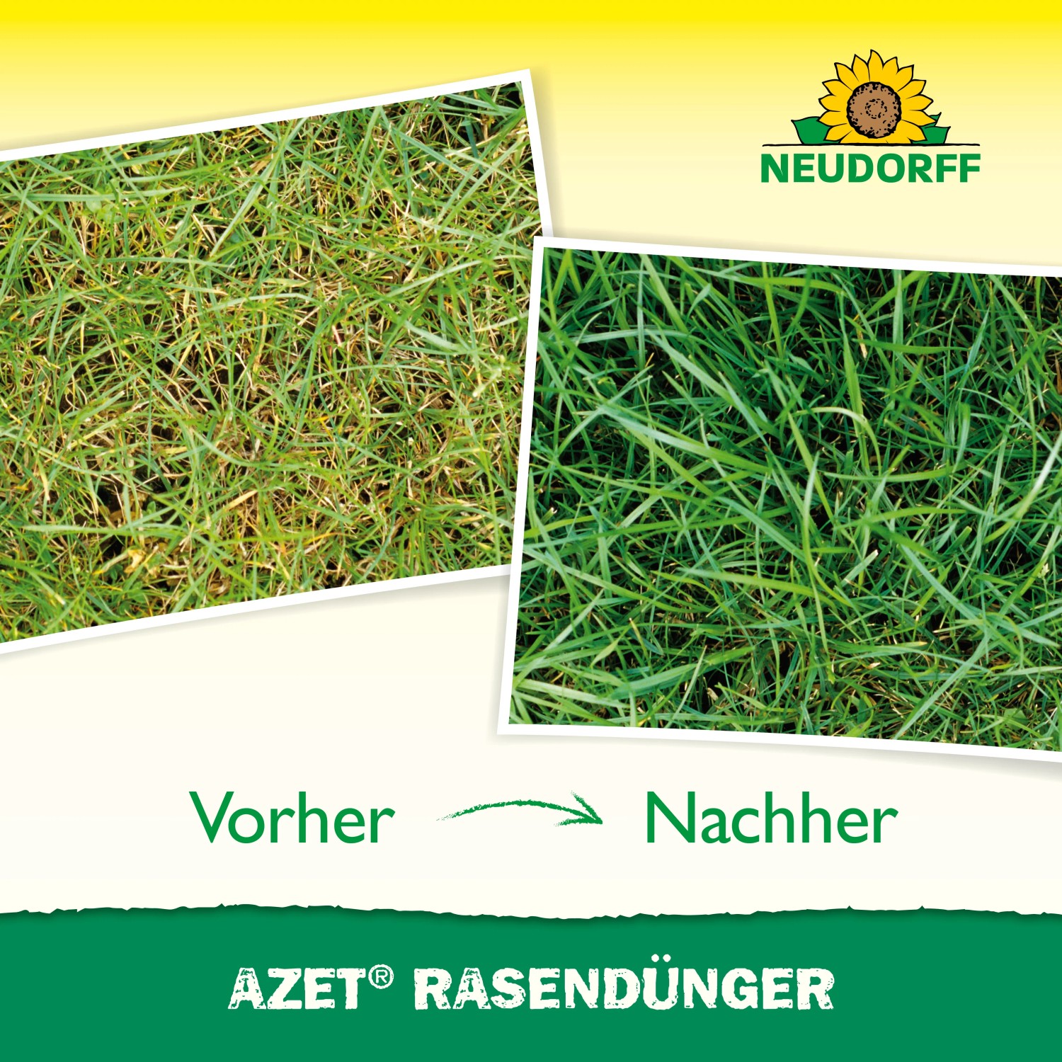 dünger wann Purgrün Lampenputzergras-Dünger 1 Liter main image 0