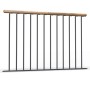 Dolle Brüstungsgeländer Winnipeg für Spindeltreppe, mit Eiche Handlauf, 100 cm lang.