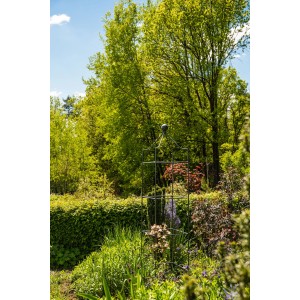 Eleo Obelisk Catania Groß, pulverbeschichtet in DB703, im Garten als Rankhilfe für Pflanzen.
