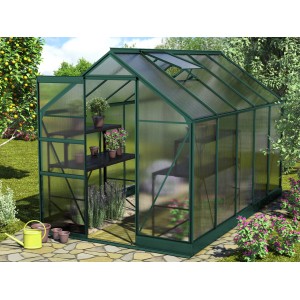 Vitavia Gewächshaus Apollo 6200 Smaragd mit Fundament, Pflanzen und Regalen im Garten.