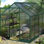 Vitavia Gewächshaus Apollo 6200 Smaragd mit Fundament, Pflanzen und Regalen im Garten.