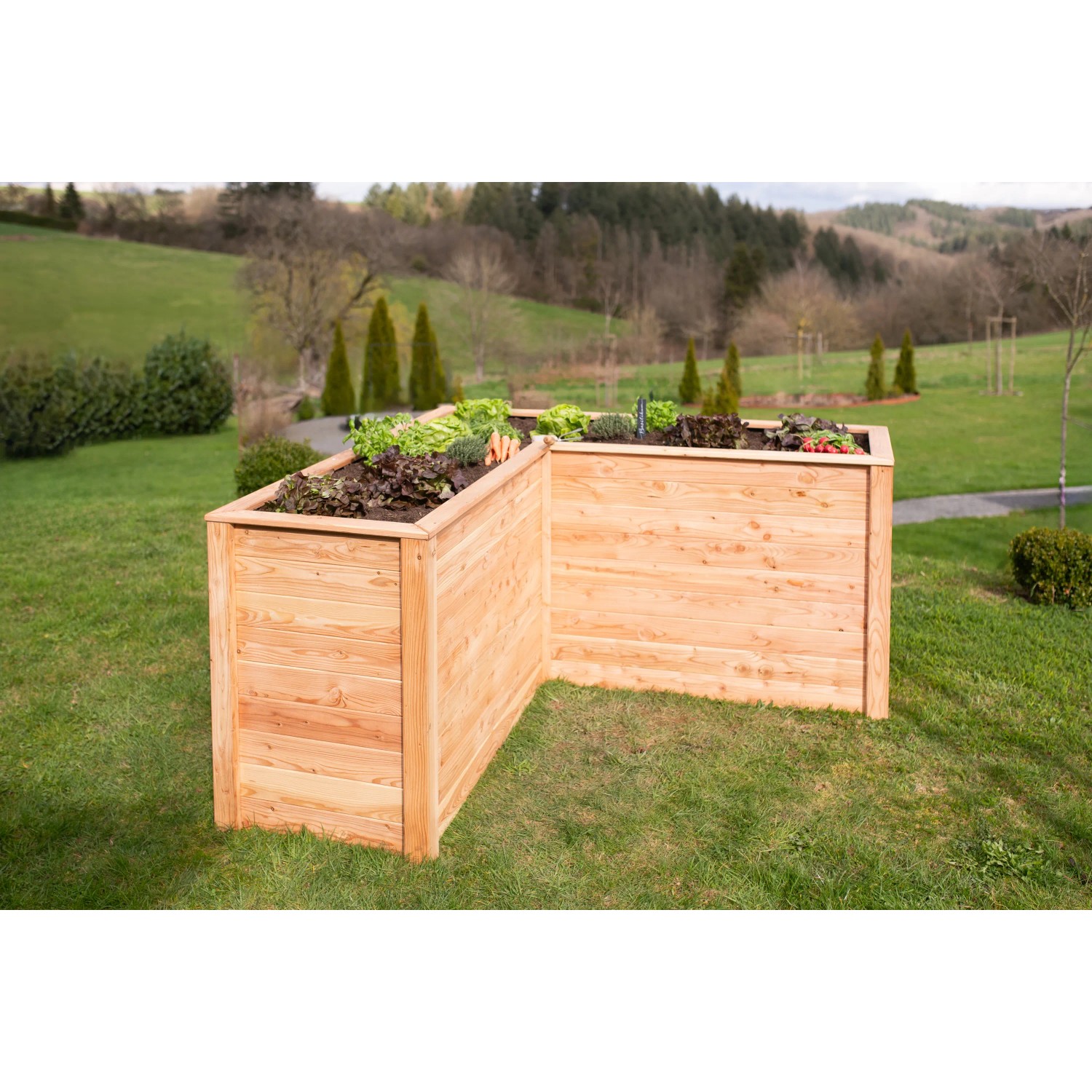 Westmann Holz-Eckhochbeet Klassik L, naturbelassenes Lärchenholz im Garten, bepflanzt mit Gemüse.