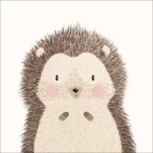 Pro Art Leinwandbild Little Hedgehog, 30x30 cm, niedlicher Igel auf Leinwand.