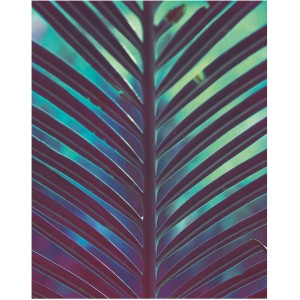 Komar Wandbild Hide (40x50 cm) mit Nahaufnahme eines stilisierten Palmenblatts in Blau- und Lilatönen.