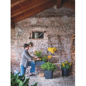 Deroma Untersetzer für rechteckigen Pflanzkasten Origin, 48 cm, Anthrazit im Einsatz.