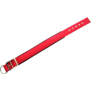 Rotes Heim Hundehalsband mit Neopren, 38 mm breit, 50 cm lang.