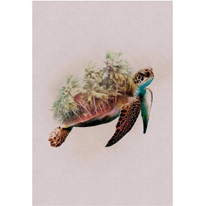 Komar Wandbild Animals Turtle, 50x70 cm. Deko-Bild mit Schildkröte und Palmen.