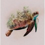 Komar Wandbild Animals Turtle, 50x70 cm. Deko-Bild mit Schildkröte und Palmen.