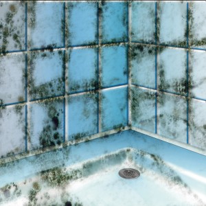 Badezimmer-Ecke mit blau gefliesten Wänden und Schimmelbefall; zur Anwendung von MEM Schimmel-Vernichter.