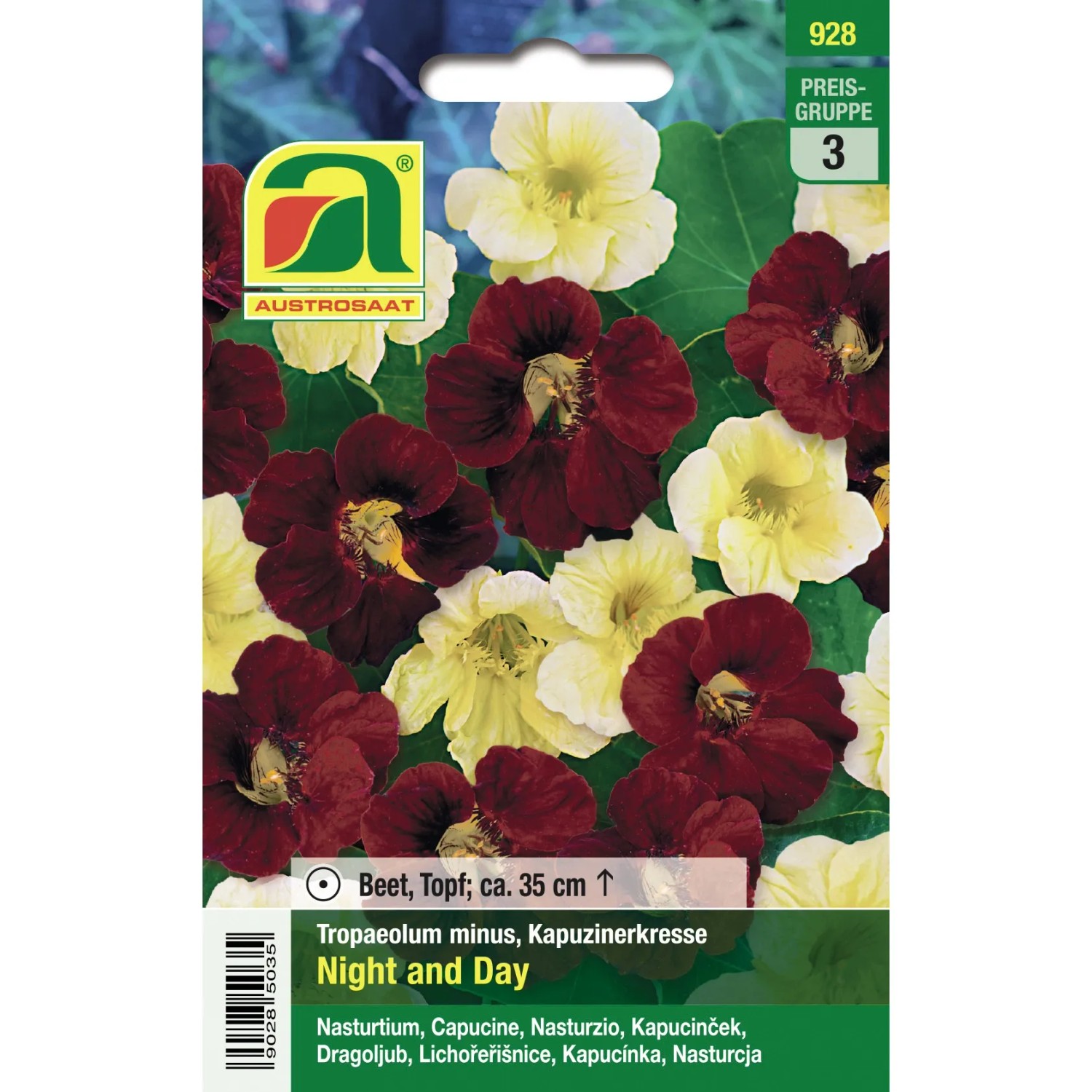 Austrosaat Kapuzinerkresse "Night and Day" BordeauxGold Tropaeolum